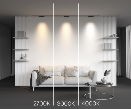 Трековый светильник Technical TR193-1-10W2.7K-M-B Points 