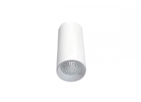Накладной светодиодный светильник (блок питания в комплекте) Donolux Rollo DL18895R20W1W