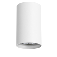 Нарушена упаковка!  <747493> Светильник точечный накладной декоративный под заменяемые галогенные или LED лампы Rullo Lightstar 214436