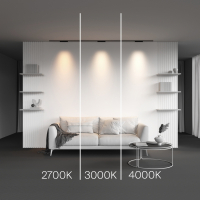 Трековый светильник Technical TR193-1-10W3K-M-B Points