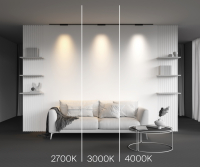 Трековый светильник Technical TR193-1-10W3K-M-B Points