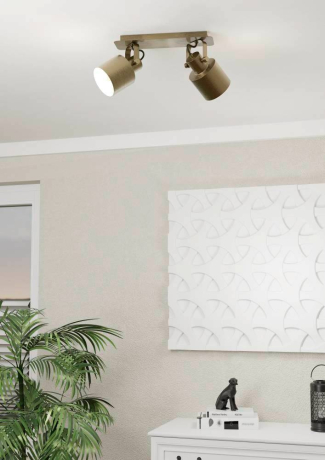 Спот Eglo Southery 43818 