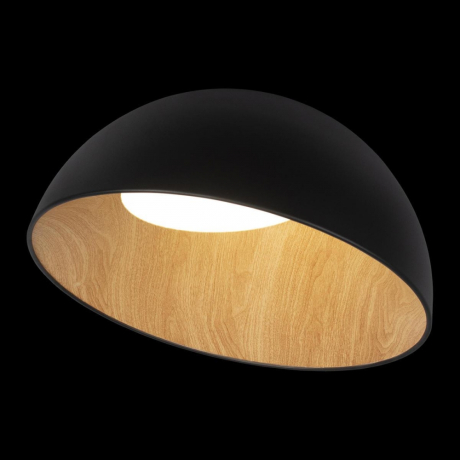 Потолочный светодиодный светильник Loft IT Egg 10197/500 Black 