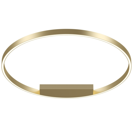 Потолочный светильник Maytoni MOD058CL-L50BSK Rim 