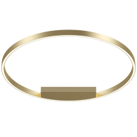 Потолочный светильник Maytoni MOD058CL-L50BSK Rim