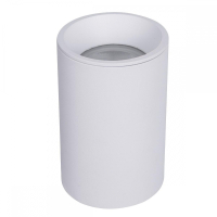 Накладной светильник Maytoni Technicall Zoom C029CL-01-S-W