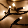 10м. Уличная гирлянда нить теплый свет Ardecoled 230V ARD-String-Pro-10000-Black-100Led-Std Warm 025824