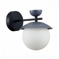 Бра в комплекте с Led лампами Evoluce SLE220201-01+Lamps