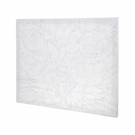 Нарушена упаковка!  <320486> Картина по номерам 40х50 см, ОСТРОВ СОКРОВИЩ "Радужный кот", на подрамнике, акрил, кисти, 663320 (663320)