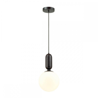 4668/1 Подвесной светильник Odeon Light Okia