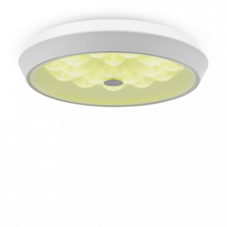 Потолочный светодиодный светильник с пультом ДУ Freya Cells FR10012CL-L24W 