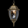 Уличный подвесной светильник с лампочкой DeMarkt 804010401+Lamps