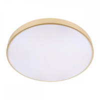 Потолочный светодиодный светильник Loft IT Flims 10228/B