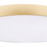 Накладной светильник Loft it Flims 10228/B