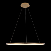 Светильник подвесной светодиодный LOFTIT Ring 10014L