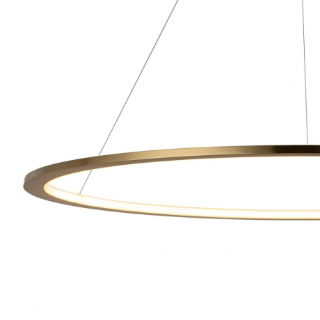 Светильник подвесной светодиодный LOFTIT Ring 10014L 