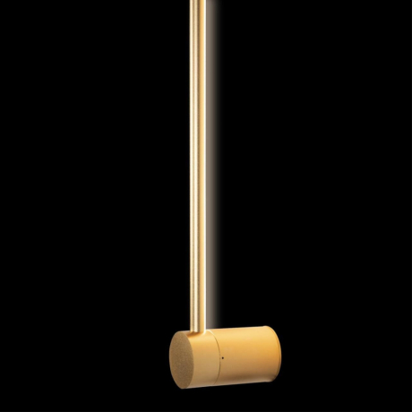 Настенный светодиодный светильник Loft It Rays 10055GD 