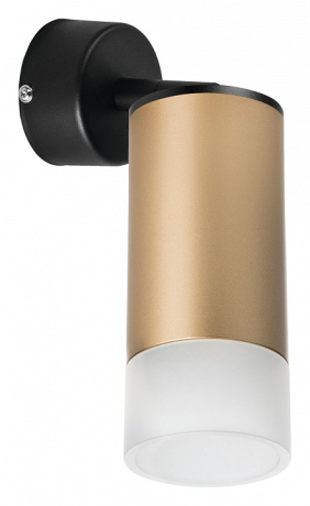 Спот Lightstar Rullo RB44031 