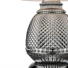 Настольная лампа декоративная Vele Luce Fiona VL5623N21