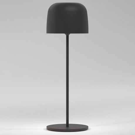 Настольная лампа декоративная Elektrostandard Bitty a069002