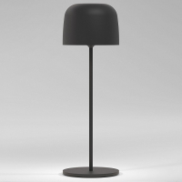 Настольная лампа декоративная Elektrostandard Bitty a069002