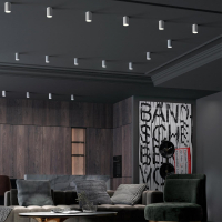 Точечный светильник со светодиодной лампочкой GU10, комплект от Lustrof. №294570-647144