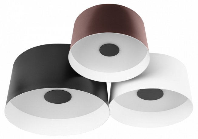 Потолочная люстра Loft it Duo 10360/3 