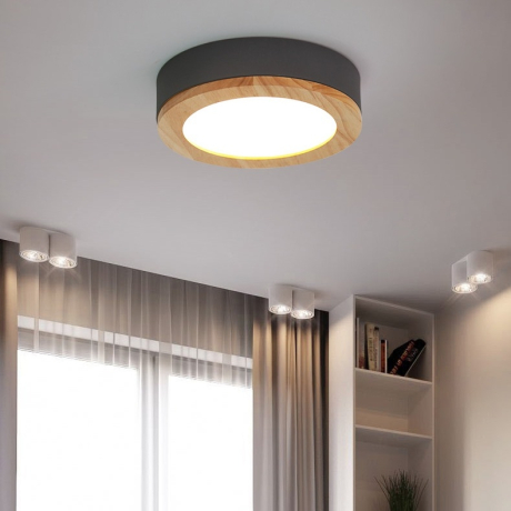 Потолочный светильник Mudda D50 Белый ImperiumLoft WUDDA01 (179768-26) 