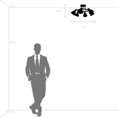 Потолочная люстра Acrobata Lightstar 761063 