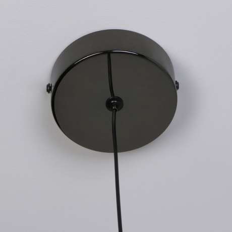 Подвесной светильник Favourite Luna 4369-1P 