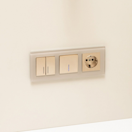 Розетка с заземлением (шампань рифленый) Werkel W1171010