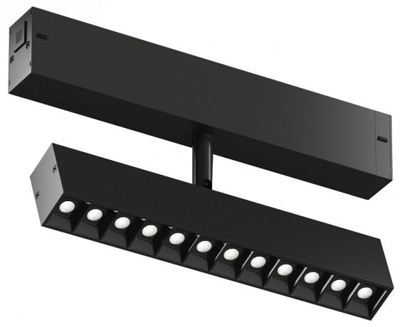 Светильник на штанге Denkirs Smart DK8006-BK 