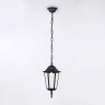 Уличный подвесной светильник с лампочкой Ambrella light ST2029+Lamps