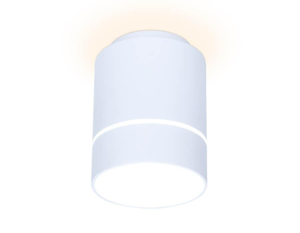 Накладной светильник Ambrella Light TN TN256 