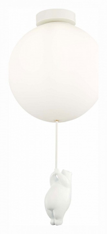 Накладной светильник EVOLUCE Modena SLE115412-01 