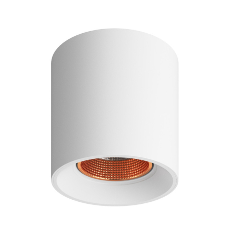 Накладной светильник Denkirs DK3040 DK3090-WBR 