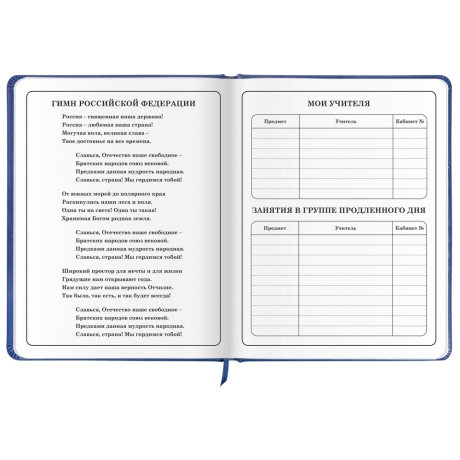 Нарушена упаковка! <604248> Дневник 1-4 класс 48 л., кожзам (твердая с поролоном), печать, аппликация, ЮНЛАНДИЯ, "Аниме", 106214