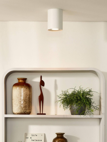 22952/01/31 Накладной поворотный точечный светильник Lucide Tube 