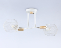 Потолочный светильник Traditional Ambrella light TR80161