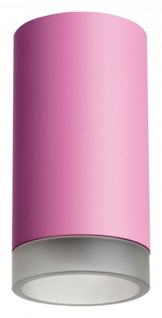 Накладной светильник Lightstar Rullo R43230 