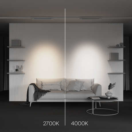 Трековый светильник Technical TR195-3-20W2.7K-M-W Points 