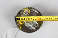 Светильник с поддержкой Маруси подвесной APLOYT APL.703.06.01-M