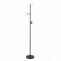 Торшер Evoluce Forli SLE220405-03