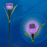 Светильник на солнечных батареях Uniel Promo USL-C-453/PT305 PURPLE TULIP (UL-00004278)