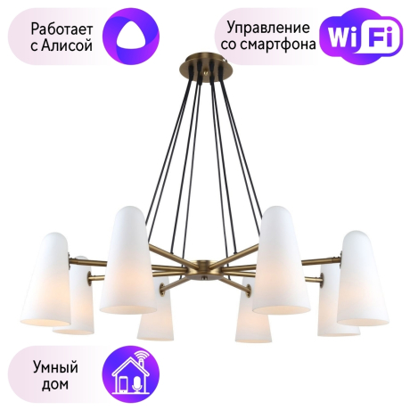 Подвесная люстра Favourite Vision с поддержкой Алиса 2763-8P-A 