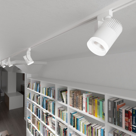 Однофазный LED светильник 30W 4200К для трека Accord Elektrostandard Accord Белый 30W 4200K (LTB20) однофазный (a039567) 