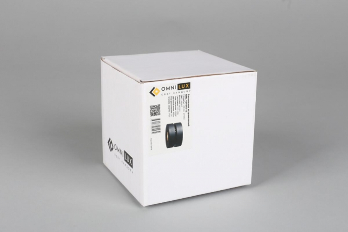 OML-101919-12 Потолочный светильник Omnilux Borgetto 