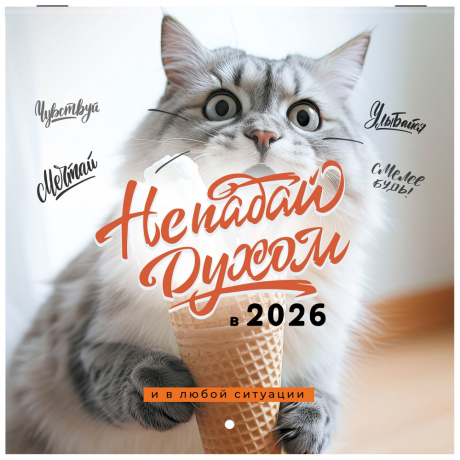 Нарушена упаковка!  <842858> Календарь настенный перекидной 2026 г., BRAUBERG, 12 листов, 21,4х21,4 см, МИНИ, "Не падай духом", 116942