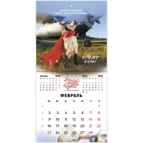 Нарушена упаковка!  <842858> Календарь настенный перекидной 2026 г., BRAUBERG, 12 листов, 21,4х21,4 см, МИНИ, "Не падай духом", 116942
