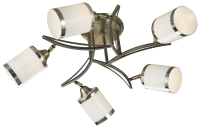 Люстра потолочная с 5 Led лампами. Комплект от Lustrof №151232-708526